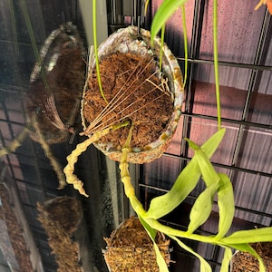 Organism added a photo of their purchase