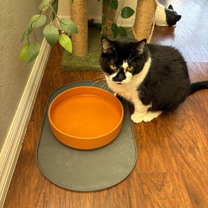 Haley added a photo of their purchase