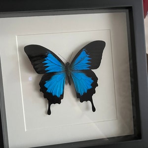 ℳ𝒾𝒸𝒽ℯ𝓁𝓁ℯ ha añadido una foto de su compra