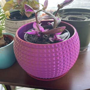 Rachel さんが購入した商品の写真を追加しました
