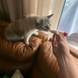 Eric heeft een foto van de aankoop toegevoegd