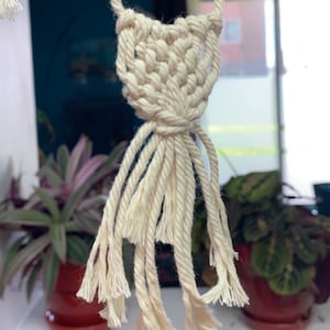 Véronique ha añadido una foto de su compra