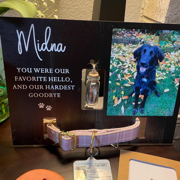 Memorial Pet Collar Sign, Dog Memorial Wood Frame With Collar Holder ...