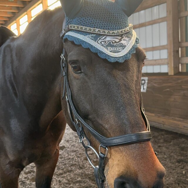 Personalised Embroidered Saddle Pad With Star Swirl, P,C,F, Saddle Cloth,Numnah