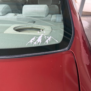 Inactive account added a photo of their purchase