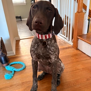 mark added a photo of their purchase