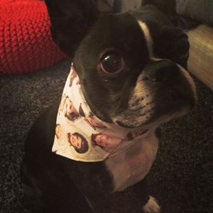 Cute Cats Being Cats Rocks Glasses Set of 4 Engraved 10oz. | Etsy