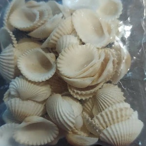 Candy added a photo of their purchase