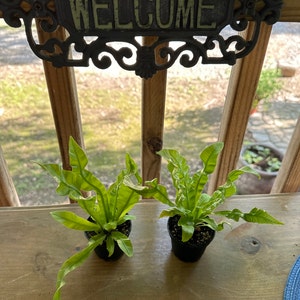 Sharon added a photo of their purchase