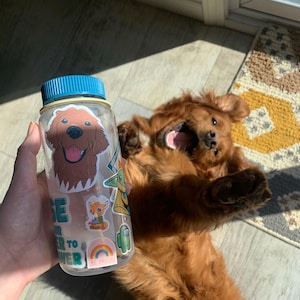 Colleen ha aggiunto una foto del proprio acquisto