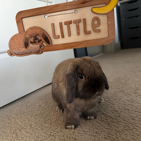 Mix & Match Bunny Stud Earrings one Pair, Rabbit Studs, Cute Enamel ...