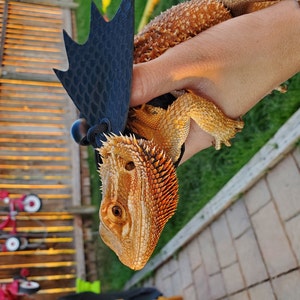 B added a photo of their purchase