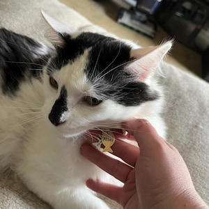 Etsy buyer added a photo of their purchase