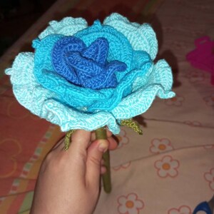 Citlali added a photo of their purchase