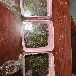 Dawn added a photo of their purchase