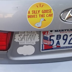 Buy A Silly Goose Drives This Car Car Vehicle Funny Meme Bumper