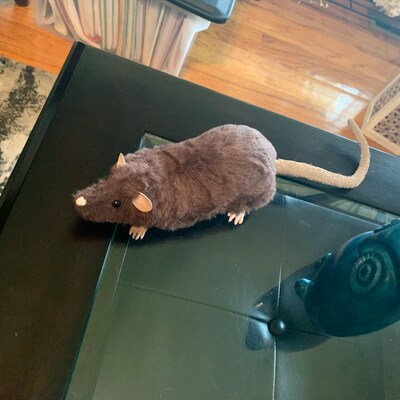 Rat Sewing Pattern PDF Sewing Tutorial and Pattern Etsy