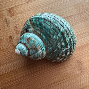 Cordelia added a photo of their purchase