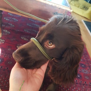 Philippa added a photo of their purchase