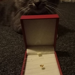 Mohammad added a photo of their purchase