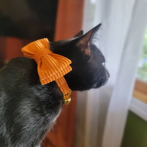 Elena added a photo of their purchase