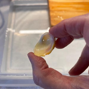 Carol added a photo of their purchase