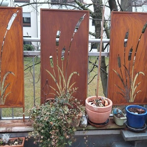 Petra heeft een foto van de aankoop toegevoegd