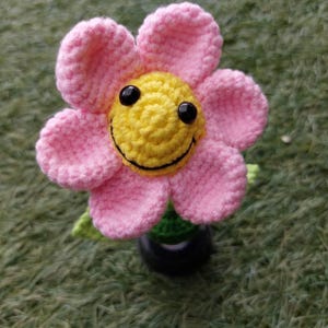 Rosa heeft een foto van de aankoop toegevoegd