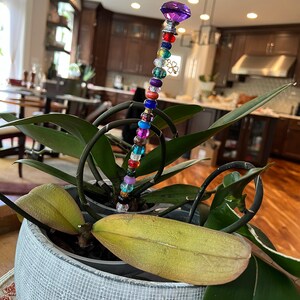 Jeanne added a photo of their purchase