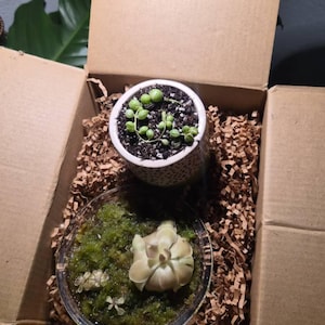 Genesis added a photo of their purchase