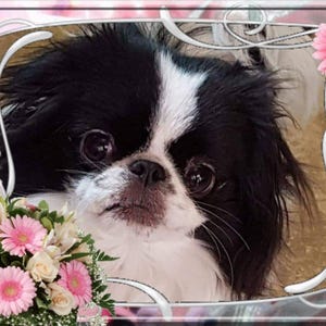 Wanda added a photo of their purchase