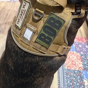 Ryan added a photo of their purchase