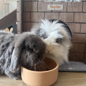 MinYee added a photo of their purchase