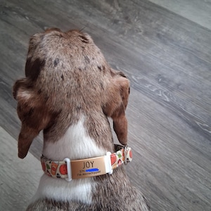 Bee added a photo of their purchase