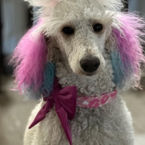 Lisa added a photo of their purchase