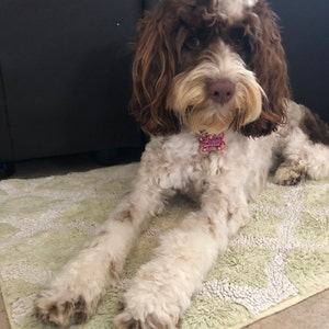 Ella added a photo of their purchase
