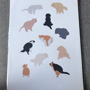 Rashel a ajouté une photo de son achat