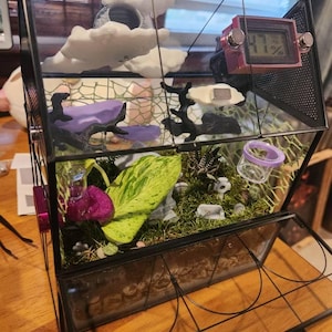Jazzbeaux added a photo of their purchase