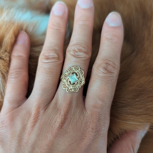 RinaPrimaBallerina added a photo of their purchase