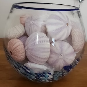 Gayle added a photo of their purchase
