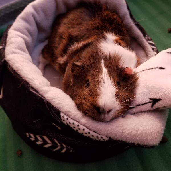 Guinea Pig Fleece Cage Liners for Small Pets, Oxbow Cage 18