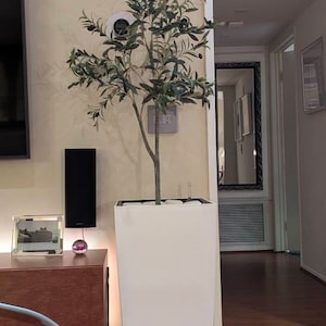 N added a photo of their purchase