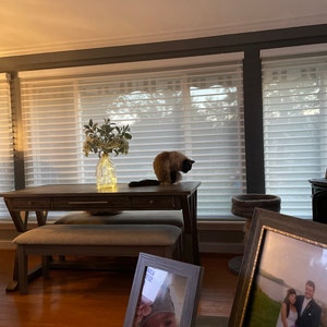 Joyce added a photo of their purchase