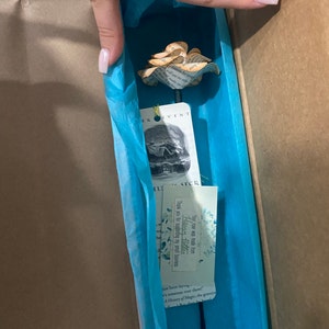 Brinley added a photo of their purchase