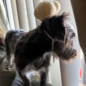 Joanna added a photo of their purchase