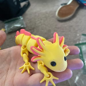 Etsy buyer added a photo of their purchase