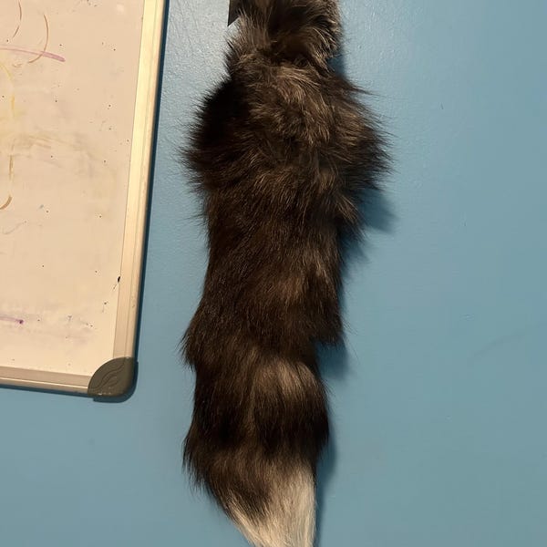 Lucky Rabbit Foot Keychain Charm, Midnight Blue, Real Rabbit Foot. - Etsy