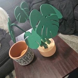 Stephanie added a photo of their purchase