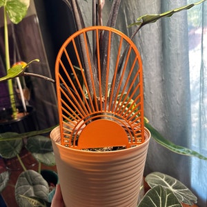Kim added a photo of their purchase
