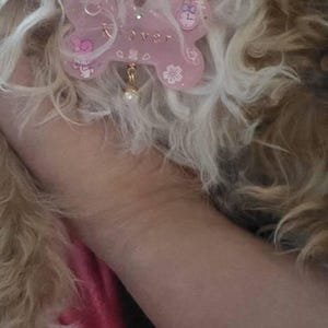 Michelle added a photo of their purchase